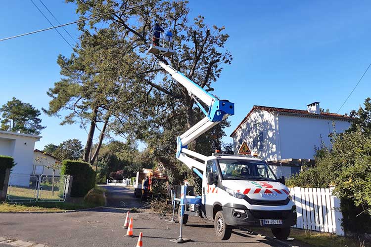 élagages et abattage Bonneau Paysage Royan 17