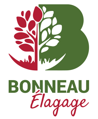bonneau paysage élagage saint palais royan
