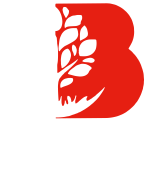logo Bonneau Paysage Paysagiste Royan entretien et création Jardins Royan 17
